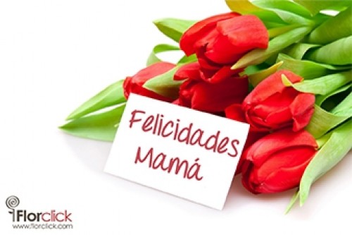 Comprar flores online - Enviar flores a domicilio - Florclick