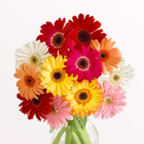 Comprar flores online - Enviar flores a domicilio - Florclick