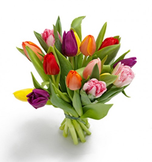Envía a domicilio ramos de tulipanes. Flores a domicilio en la floristería  online 