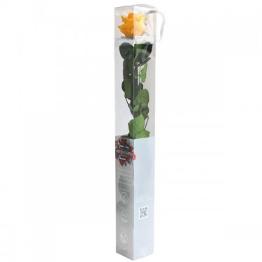 Comprar Flores Preservadas - Florclick